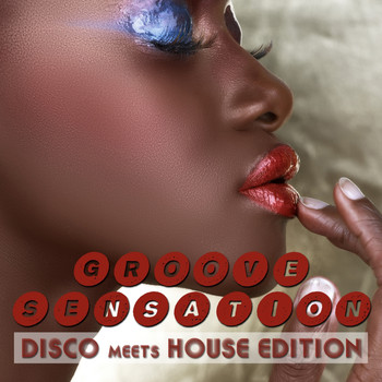 Various Artists - Groove Sensation, Vol. 3 - Disco Meets House Edition