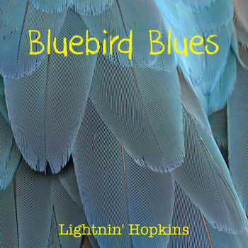 Lightnin' Hopkins - Bluebird Blues