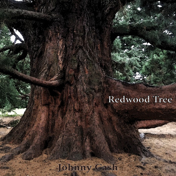Johnny Cash - Redwood Tree