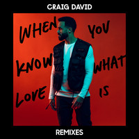 Craig David - When You Know What Love Is (Remixes)