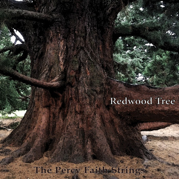 The Percy Faith Strings - Redwood Tree