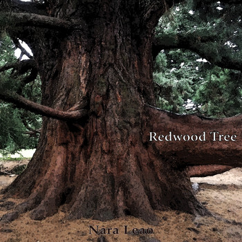 Nara Leão - Redwood Tree