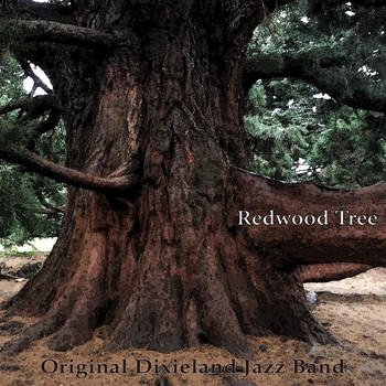 Original Dixieland Jazz Band - Redwood Tree