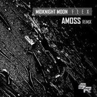 Midknight MooN - Flex (Amoss Remix)