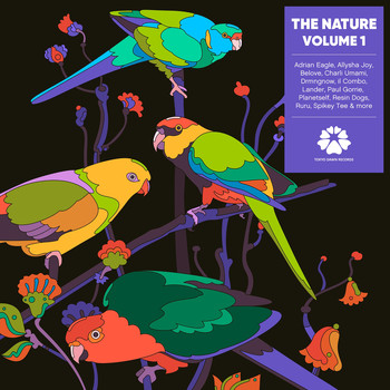 Various Artists - The Nature, Vol. 1