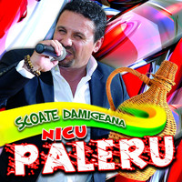 Nicu Paleru - Scoate Damigeana