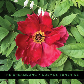 Cosmos Sunshine - The Dreamsong