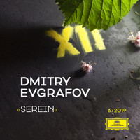 Dmitry Evgrafov - Serein