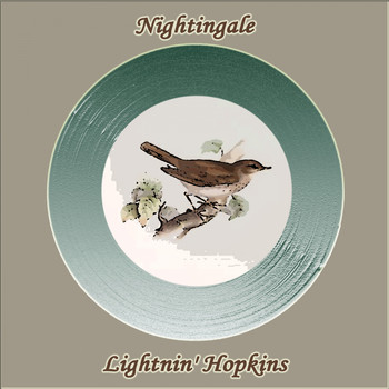 Lightnin' Hopkins - Nightingale