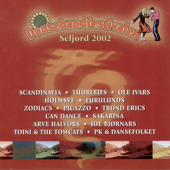 Various Artists - Dansebandfestivalen Seljord 2002