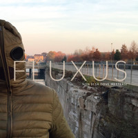 Fluxus - Non si sa dove mettersi