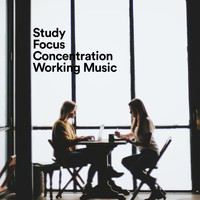 Study Background Music, Focus & Concentration, Estudiar - Study, Focus, Concentration, Working Music