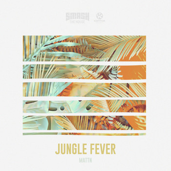 MATTN - Jungle Fever