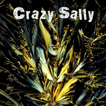 Crazy Sally - Don't Ask