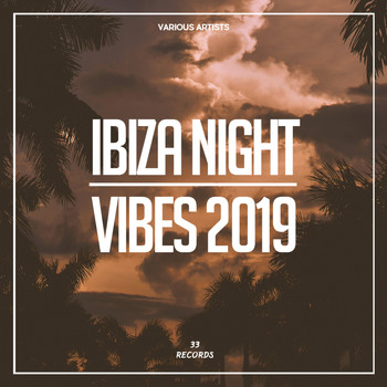 Various Artists - Ibiza Night Vibes 2019