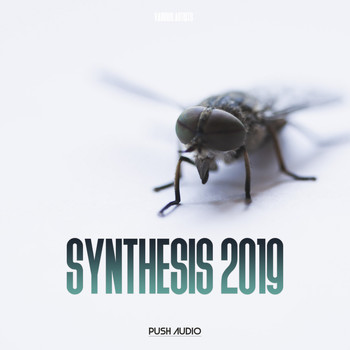 Various Artists - Synthesis 2019