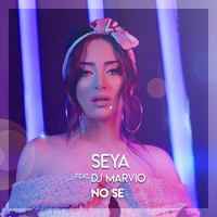Seya - No Se (feat. DJ Marvio)