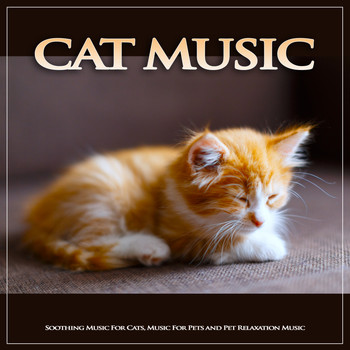 Cat Music, Music For Cats, Music for Pets - Cat Music: Soothing Music For Cats, Music For Pets and Pet Relaxation Music
