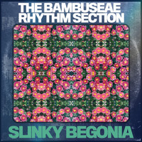 The Bambuseae Rhythm Section - Slinky Begonia
