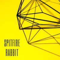 Spitfire Rabbit - Me and You