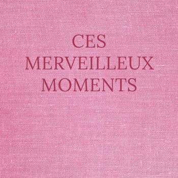 Various Artists - Ces merveilleux moments