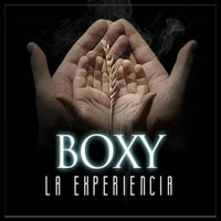 Boxy - La Experiencia