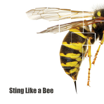 Bam Bam - Sting Like a Bee