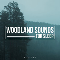 Forest - Woodland Sounds for Sleep