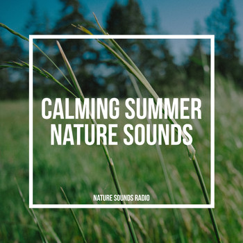 Nature Sounds Radio - Calming Summer Nature Sounds