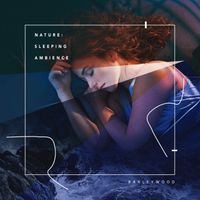 Barleywood - Nature: Sleeping Ambience