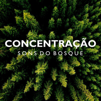 Musicas para Estudar Collective, Música para Estudar & Música de Concentración Profunda - Concentração: Sons do Bosque