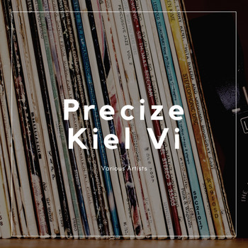 Various Artists - Precize Kiel Vi