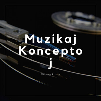 Various Artists - Muzikaj Konceptoj