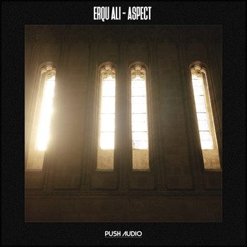 Erqu Ali - Aspect