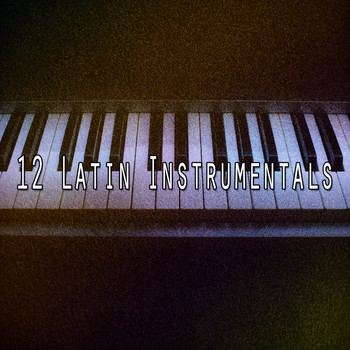 Chillout Lounge - 12 Latin Instrumentals