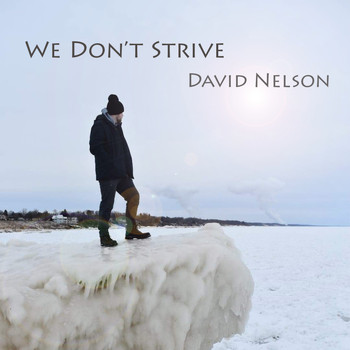 David Nelson - We Don't Strive