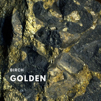 Birch - Golden