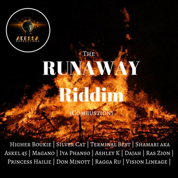 Various Artists - The Runaway Riddim Combustion