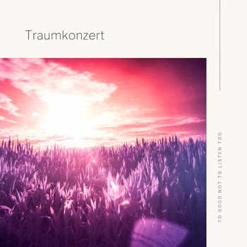 Various Artists - Traumkonzert