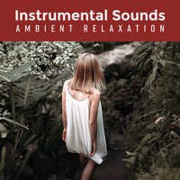 Relaxation, Instrumental - Instrumental Sounds: Ambient Relaxation