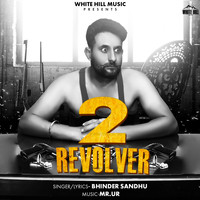 Bhinder Sandhu - 2 Revolver