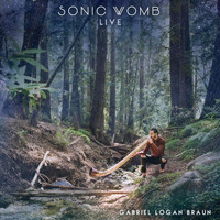 Gabriel Logan Braun - Sonic Womb Live
