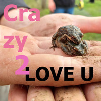 The Potato Bugs - Crazy to Love You