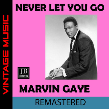 Marvin Gaye - Never Let You Go