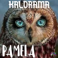 Kalorama - PAMELA
