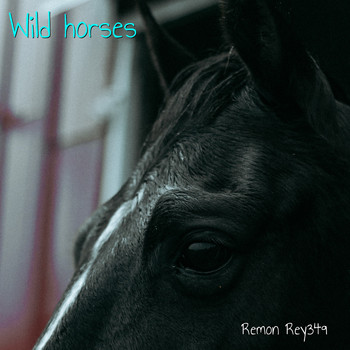 Remon Rey349 - Wild Horses (Unplugged)