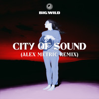 Big Wild - City of Sound (Alex Metric Remix)