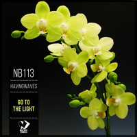 Havingwaves - Go to the Light