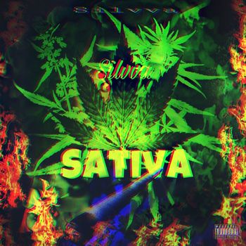 Silvva - Sativa