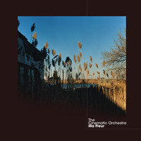 The Cinematic Orchestra - Talking About Freedom